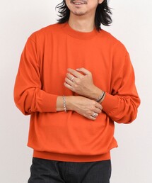NOLLEY’S | ハイゲージウォッシャブルニットハイネック 26AW(ニット/セーター)