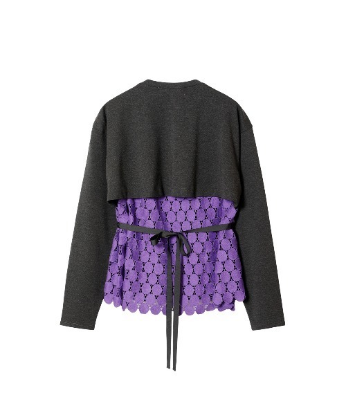 LE CIEL BLEU ルシエルブルー ドット シャツ　美品　試着のみ LE CIEL BLEU（ルシェルブルー）の「Dot Lace Long Sleeve Tee