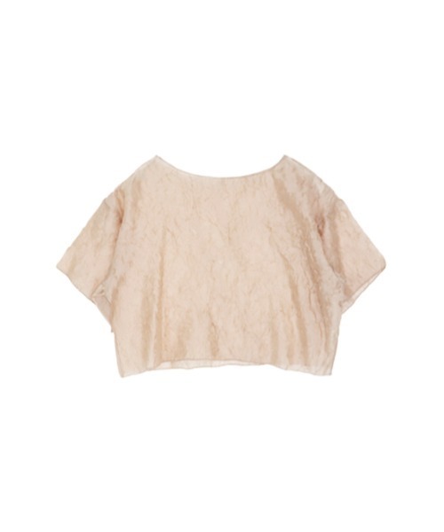 AMAIL（アマイル）の「See-through flower cloth（Tシャツ/カットソー・レディース・ブラック/ベージュ/アイボリー・FREE）」の19枚目の写真