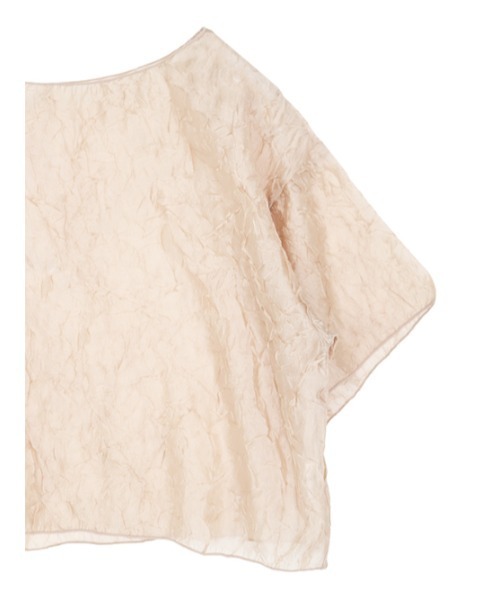 AMAIL（アマイル）の「See-through flower cloth（Tシャツ/カットソー・レディース・ブラック/ベージュ/アイボリー・FREE）」の5枚目の写真