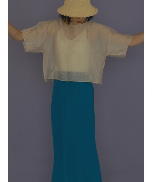 AMAIL（アマイル）の「See-through flower cloth（Tシャツ/カットソー・レディース・ブラック/ベージュ/アイボリー・FREE）」の8枚目の写真