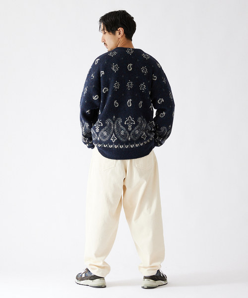 JOURNAL STANDARD（ジャーナルスタンダード）の「【ELEPHANT BRAND×JOURNAL STANDARD】別注 アルパカ混カーディガン（カーディガン/ボレロ・メンズ・ベージュ/ネイビー/ライトグリーン/ライトイエロー・LARGE/MEDIUM）」の22枚目の写真