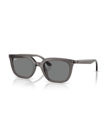 Ray-Ban(Co)Ray-Ban Co TOX Dmodels 0RB4439D (AWA胂fE[ubWtBbg)(TOX)