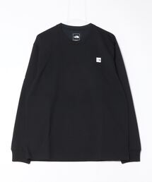ザ ノース フェイス THE NORTH FACE L/S Small Box Logo Tee_ロングスリーブスモールボックスロゴティー