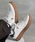 U.S. POLO ASSN.�i���[�G�X�|���A�b�X���j�́uU.S. POLO ASSN. ����X�j�[�J�[�i�X�j�[�J�[�j�v�b�z���C�g