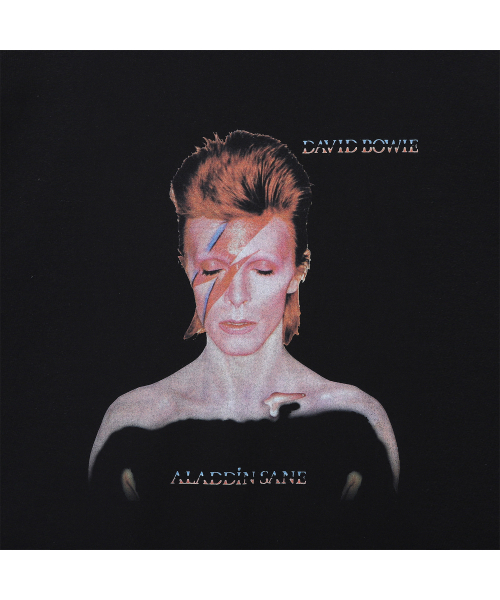 Bravado(ブラヴァド)の「DB ALADDIN SANE BK (BRENT1991)(Tシャツ/カットソー・メンズ・その他・L/M/XL/XXL)」の2枚目の写真