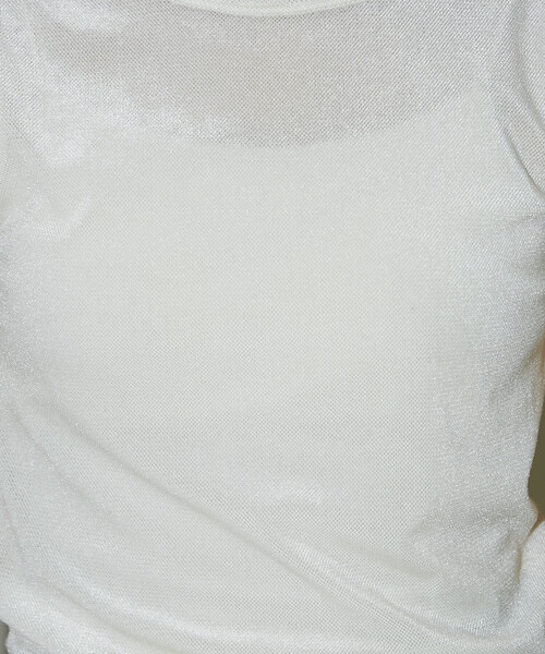 PUBLUX(パブリュクス)の「PUBLUX/パブリュクス パフスリーブ シアー フロッキー Tシャツ 限定展開(Tシャツ/カットソー・レディース・グレー/オフホワイト/ブラウン・フリ-)」の19枚目の写真