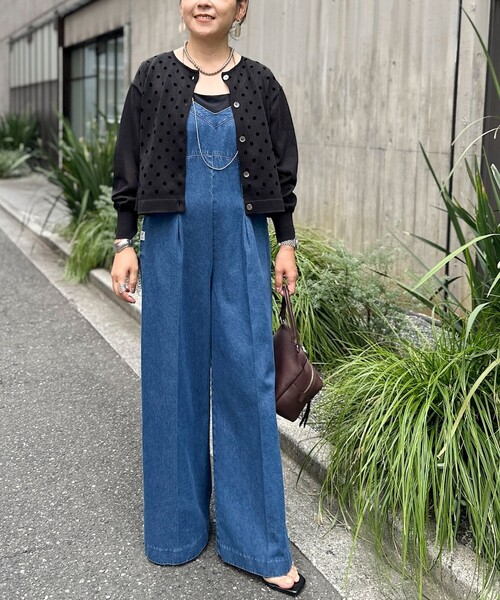 NOLLEY’S(ノーリーズ)の「《手洗い可能》フロッキードットプリントクルーネックカーディガン(カーディガン/ボレロ・レディース・ダークブラウン/グレー/ブラック・38)」の15枚目の写真