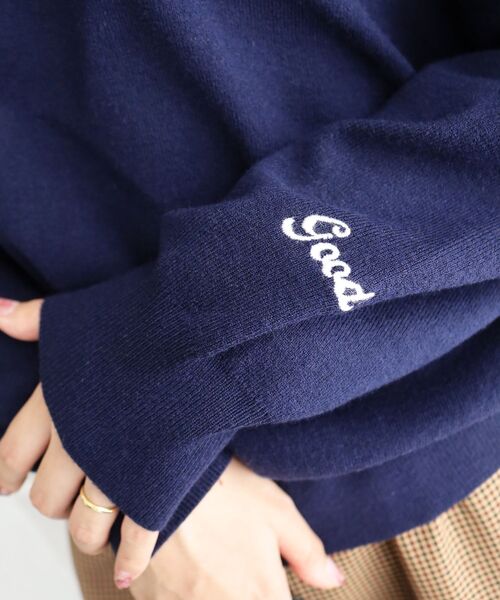 le.coeur blanc(ルクールブラン)の「TORRAZZO DONNA エンブロイダリーVネックニット(ニット/セーター・レディース・ネイビー/グレー・38)」の9枚目の写真