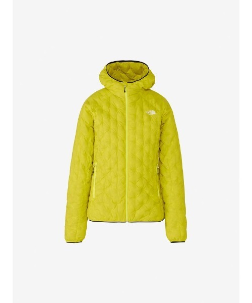THE NORTH FACE（ザノースフェイス）の「ザ・ノースフェイス