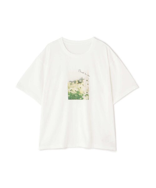 EDIT COLOGNE（エディットコロン）の「＜Ｅ＞フォトプリントＴシャツ（Tシャツ/カットソー・レディース・ホワイト・FREE）」の4枚目の写真