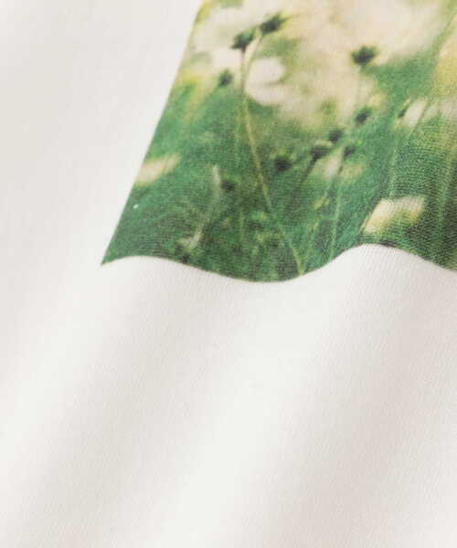 EDIT COLOGNE（エディットコロン）の「＜Ｅ＞フォトプリントＴシャツ（Tシャツ/カットソー・レディース・ホワイト・FREE）」の2枚目の写真