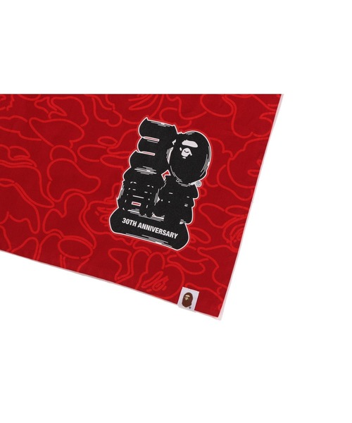 A BATHING APE 30周年記念 のれん レッド A BATHING APE（アベイシングエイプ）の「BAPE 30TH ANNIV. CAMO NOREN