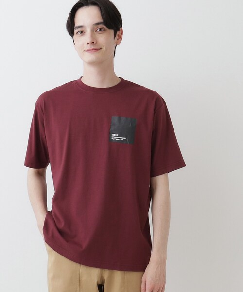 Dessin(デッサン)の「【洗える】オーガニックコットンロゴ入り半袖Tシャツ(Tシャツ/カットソー・メンズ・ボルドー/チャコールグレー/ホワイト系・02/03)」の9枚目の写真