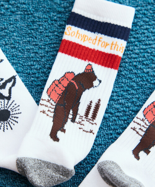 COLEMAN(コールマン)の「Coleman/コールマン 別注 Coleman 1P SOCKS ソックス(ソックス/靴下・メンズ・チャコールグレー/オフホワイト/ナチュラル/ダークグレー・ONE SIZE/MEDIUM)」の20枚目の写真
