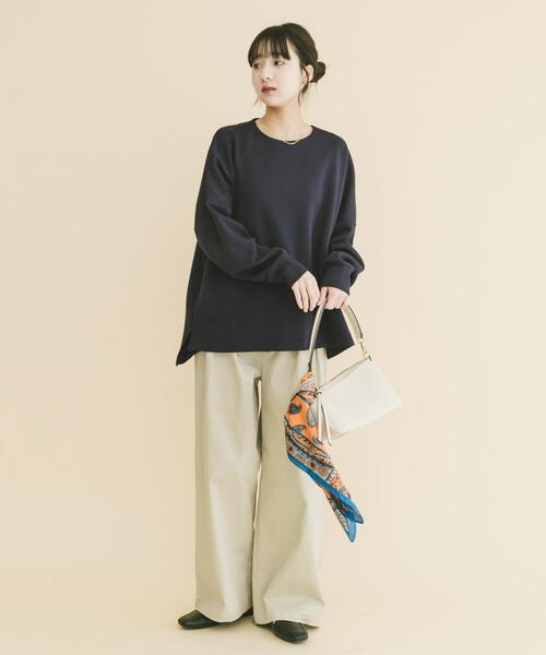 ITEMS URBANRESEARCH（アイテムズ アーバンリサーチ）の「ダンボールバックジッププルオーバー（スウェット・レディース・ネイビー/オフホワイト/ライトブルー・FREE）」の21枚目の写真