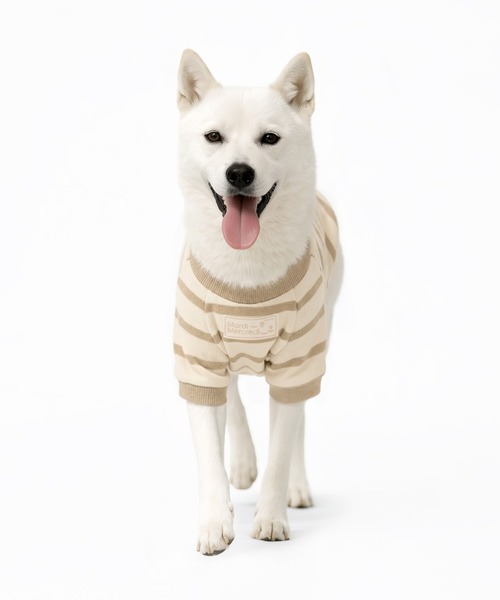 PET TSHIRT STRIPE / ペット Tシャツ ストライプ（ペットウェア