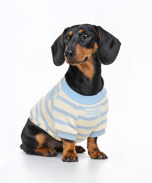 PET TSHIRT STRIPE / ペット Tシャツ ストライプ（ペットウェア