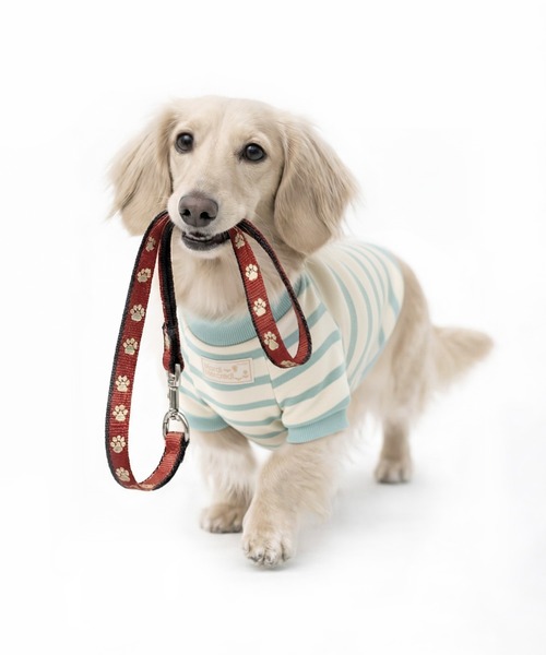 ヴィヴィ　マルディメクルディ Tシャツ 犬イラスト　2点セット 2026年最新】マルディメクルディ tシャツ 犬の人気アイテム - メルカリ