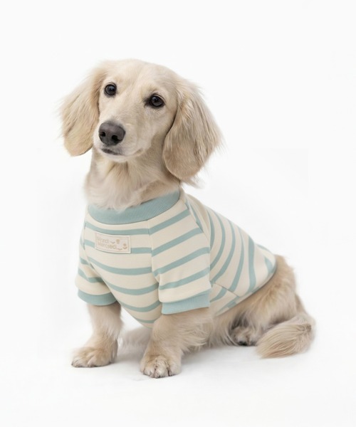 PET TSHIRT STRIPE / ペット Tシャツ ストライプ（ペットウェア
