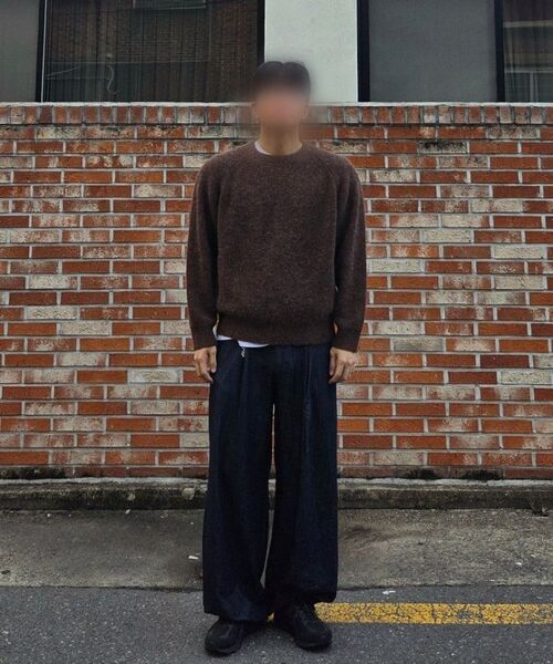 ECORR（エコル）の「フォグアルパカクロップニットプルオーバー : 5 COLORS（ニット/セーター・レディース・グレー/ベージュ/ブラウン/スカイブルー/ライトグリーン・2(L)/3(XL)/1(M)）」の19枚目の写真