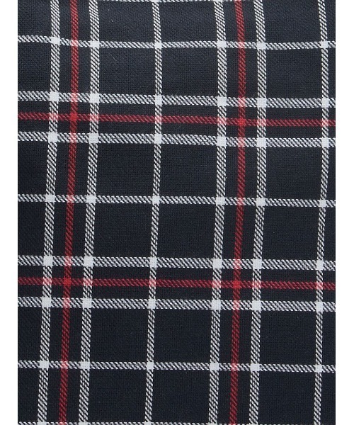 Barbour（バブアー）の「Telfield ミニ タータンロゴトートバッグ（トートバッグ・メンズ・ネイビー/グリーン・ONE SIZE）」の12枚目の写真