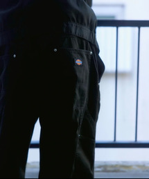 Dickies / ディッキーズ 別注 ODD SHAPE SHORTS / ショーツ（その他
