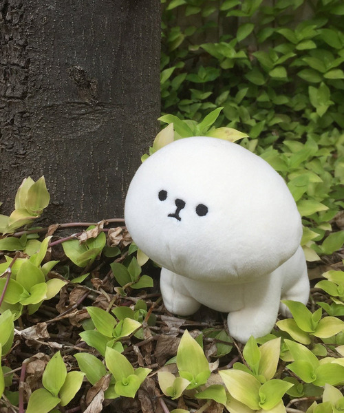 LBC(エルビーシー)の「FLUFFY マスコット(クッション/クッションカバー)」|ホワイト