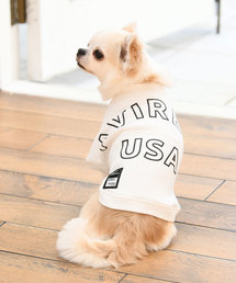 AVIREX�i�A�r���b�N�X�j�́uAVIREX/�A���B���b�N�X/�r�b�O���S�X�E�F�b�g/����(�h�b�O�E�F�A)�i�y�b�g�O�b�Y�j�v