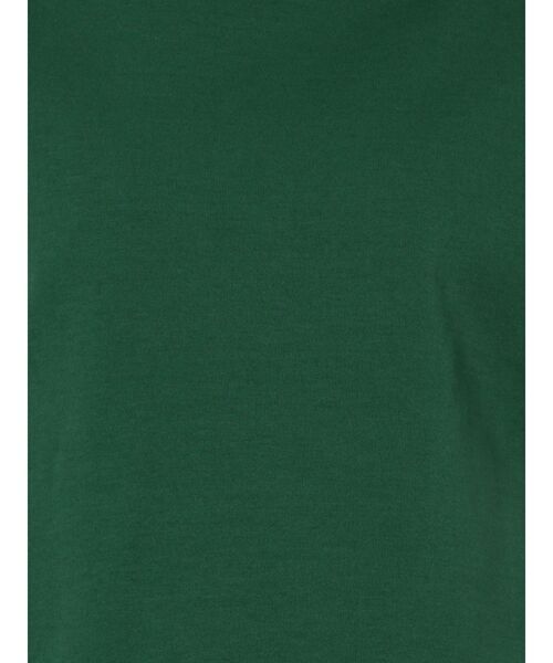 ELENDEEK（エレンディーク）の「ハイネックカットソー（Tシャツ/カットソー・レディース・ブラック/ブラウン/オフホワイト/グリーン・FREE）」の12枚目の写真