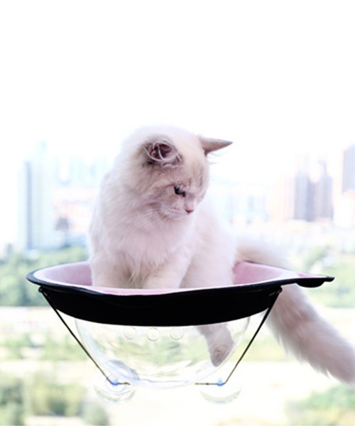 aimoha(アイモハ)の「猫用ウィンドウベッド(ペット用クッション/マット・レディース・チョコ/オレンジ/ブルー/ピンク/グレー/イエロー・FREE)」の12枚目の写真