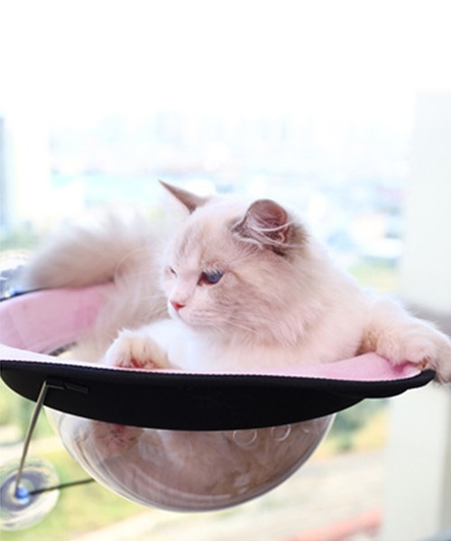 aimoha(アイモハ)の「猫用ウィンドウベッド(ペット用クッション/マット・レディース・チョコ/オレンジ/ブルー/ピンク/グレー/イエロー・FREE)」の7枚目の写真
