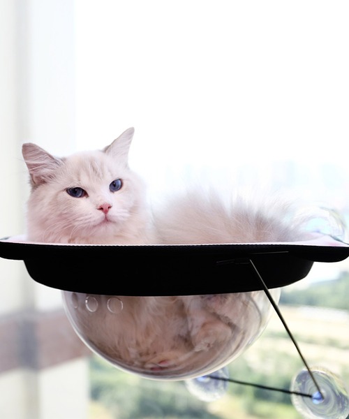 aimoha(アイモハ)の「猫用ウィンドウベッド(ペット用クッション/マット・レディース・チョコ/オレンジ/ブルー/ピンク/グレー/イエロー・FREE)」の10枚目の写真