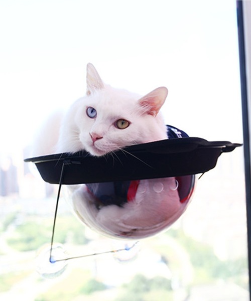 aimoha(アイモハ)の「猫用ウィンドウベッド(ペット用クッション/マット・レディース・チョコ/オレンジ/ブルー/ピンク/グレー/イエロー・FREE)」の15枚目の写真