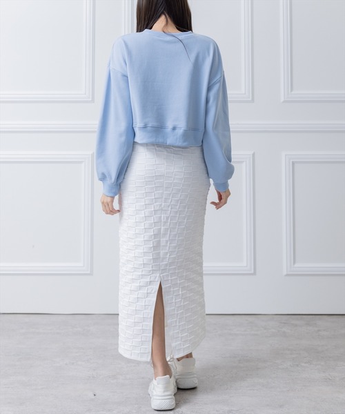 clear（クリア）の「ショート丈刺繍プリントスウェットトップス（スウェット・レディース・サックスブルー/オフホワイト・F）」の17枚目の写真