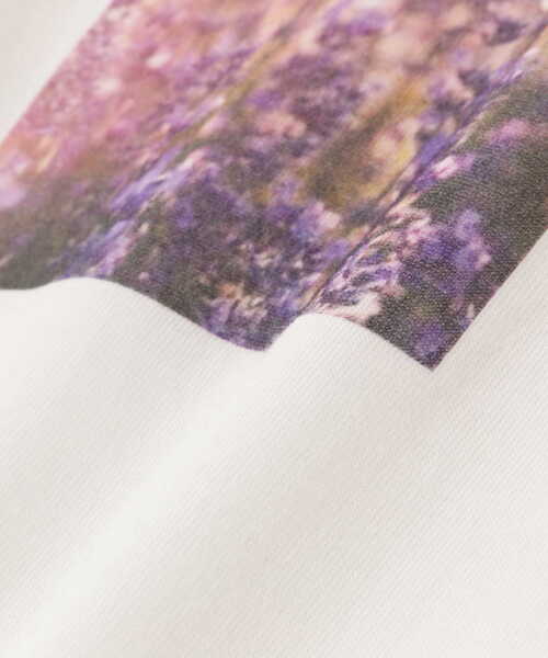 EDIT COLOGNE(エディットコロン)の「<E>フォトプリントTシャツ(Tシャツ/カットソー・レディース・ホワイト・FREE)」の9枚目の写真