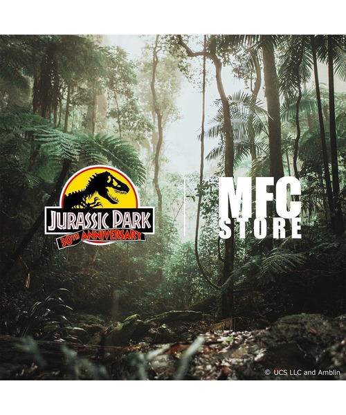 MFC STORE（エムエフシーストア）の「MFC STORE x JURASSIC PARK T-SHIRT ♯1（Tシャツ/カットソー・メンズ・ブラック/ホワイト・S/M/L/XL/XXL）」の3枚目の写真