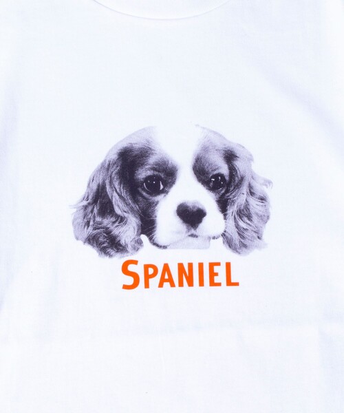 GLOSTER（グロスター）の「【GLOSTER/グロスター】DOG&CAT 犬猫プリントロンT（Tシャツ/カットソー・メンズ・ホワイト系その他2/ホワイト系その他3/ホワイト系その他4/ホワイト系その他5/ホワイト系その他6/ホワイト系その他・S/M/L）」の15枚目の写真