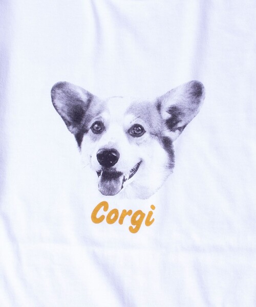 GLOSTER（グロスター）の「【GLOSTER/グロスター】DOG&CAT 犬猫プリントロンT（Tシャツ/カットソー・メンズ・ホワイト系その他2/ホワイト系その他3/ホワイト系その他4/ホワイト系その他5/ホワイト系その他6/ホワイト系その他・S/M/L）」の19枚目の写真