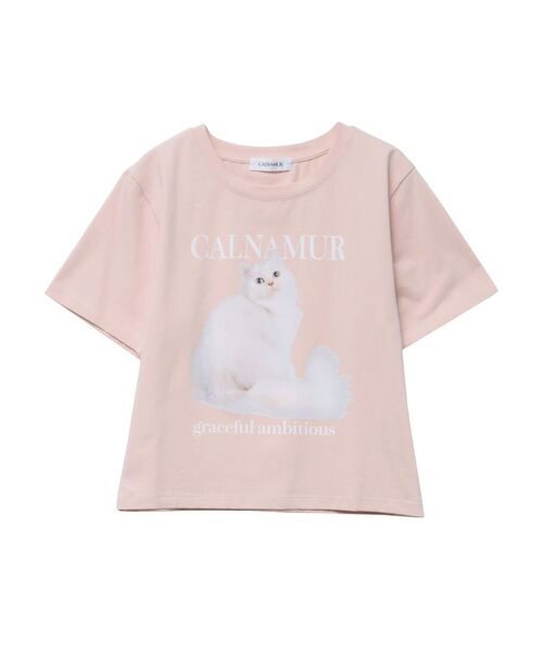 新品未開封mischievous cat Tシャツ Mサイズ mischievous 厚手Tシャツ Mサイズ - メルカリ