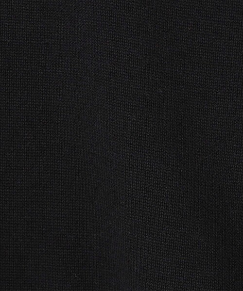 POLO BCS（ポロ ビーシーエス）の「【POLO BCS（ポロ・ビーシーエス）別注】 襟付きポロニット（WEB限定カラーあり）（ニット/セーター・レディース・ブラック/ベージュ/ブラウン/レッド/ネイビー・M/L）」の19枚目の写真