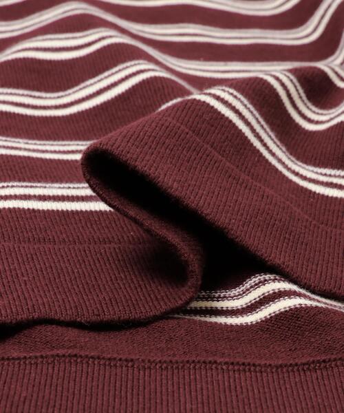 ITEMS URBANRESEARCH(アイテムズ アーバンリサーチ)の「ハーフジップポロワンピース(ワンピース・レディース・ネイビー/ボルドー・FREE)」の20枚目の写真