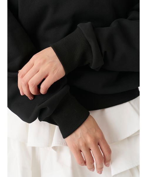 SNIDEL(スナイデル)の「【USAGI ONLINE/ZOZO TOWN限定】エンブロイダリーボウタイスウェット(スウェット・レディース・グレー/ネイビー/キャメル/ブラック・F)」の17枚目の写真