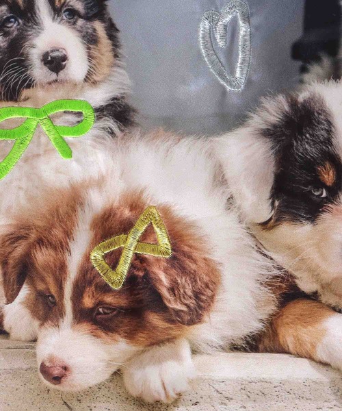 Three Four Time（ｽﾘｰﾌｫｰﾀｲﾑ）の「【Casselini】ドゥードゥールフォトトート（トートバッグ・レディース・ブラック/レッド/イエロー・FREE）」の19枚目の写真