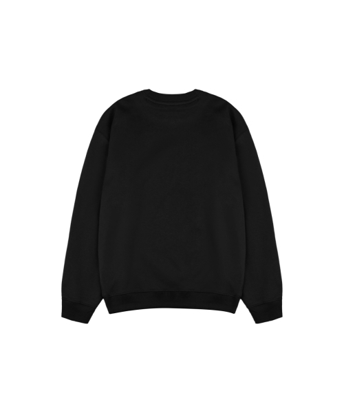 ABEEHUMS（アビハムズ）の「ヴィンテージロゴスウェットシャツ ABH357-111 ブラック（スウェット・レディース・ブラック・SMALL/MEDIUM）」の3枚目の写真