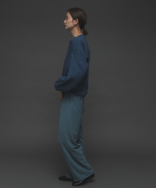SENSE OF PLACE by URBAN RESEARCH(センスオブプレイスバイアーバンリサーチ)の「ボリュームスリーブトップ(Tシャツ/カットソー・レディース・ホワイト系その他/ブラック系その他/レッド/ブルー・ONE)」の18枚目の写真
