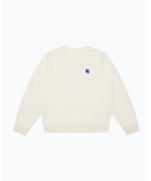ADER error(A[_[G[)ADER error/A[_[G[/KNIT(jbg/Z[^[)