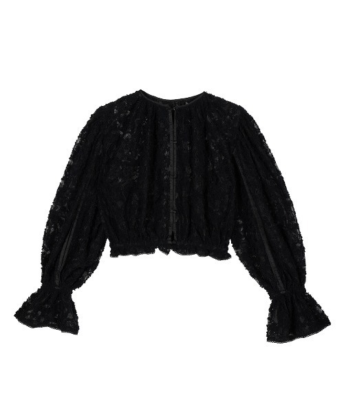 アメリ BRUSHED LACE VOLUME SLEEVE BLOUSE BRUSHED LACE VOLUME SLEEVE BLOUSE（シャツ/ブラウス）｜Ameri