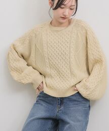 アランNTPO