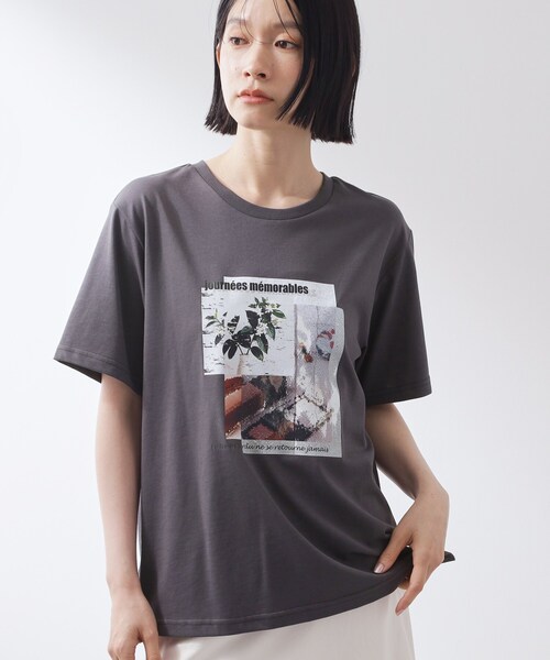 THE SHOP TK (ザ ショップ ティーケー )の「【ひんやり/吸水速乾】プリントアソートTシャツ(Tシャツ/カットソー・レディース・オフホワイト/ホワイト系3/ブラック系その他4/ブラック/ダークブラウン系/ホワイト系6・12/13)」の5枚目の写真